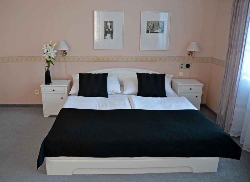Hotel Havel Rychnov nad Kneznou Room photo
